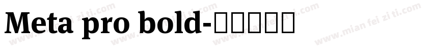 Meta pro bold字体转换